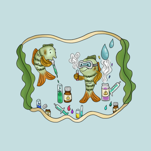 2. Chimiste en herbe