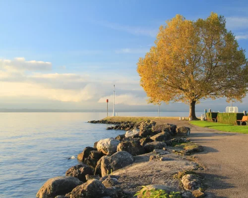 Bord du lac léman