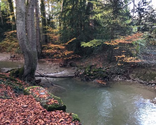 Le_Boiron_(Nyon)