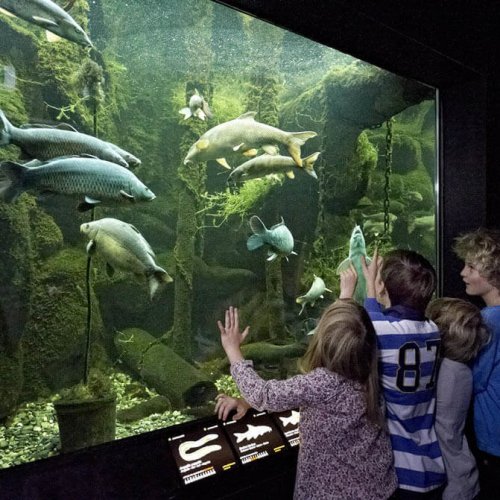 Musee_du_Leman_2 Musee_du_Leman_2