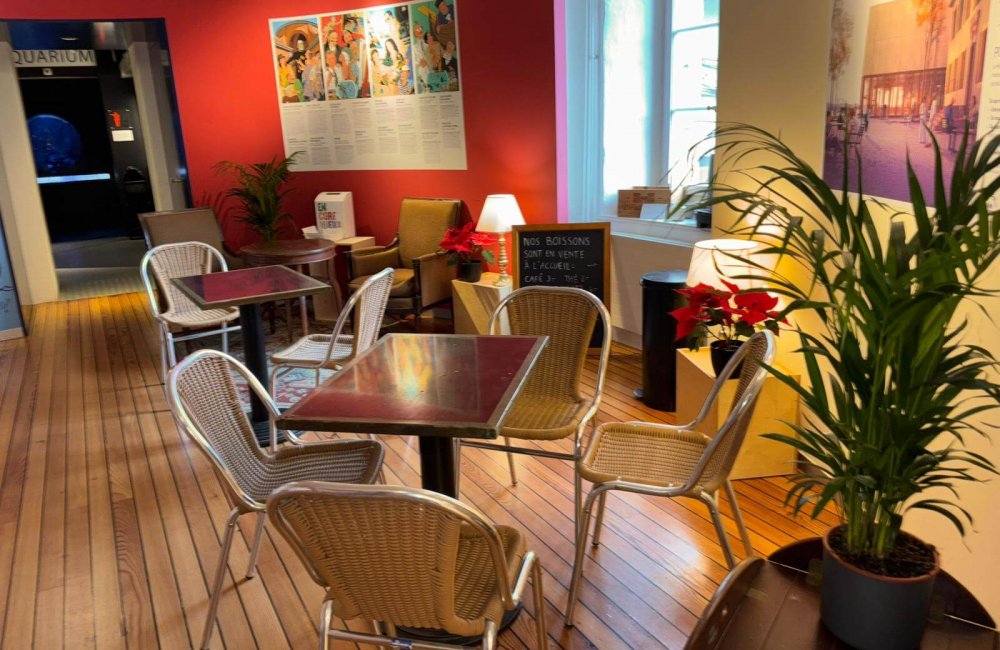 WhatsApp Image 2026-02-12 at 17.04.06